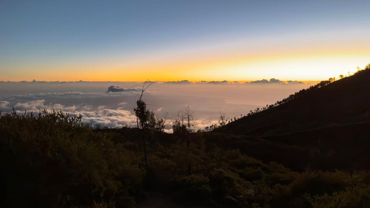 Ijen Transito 2