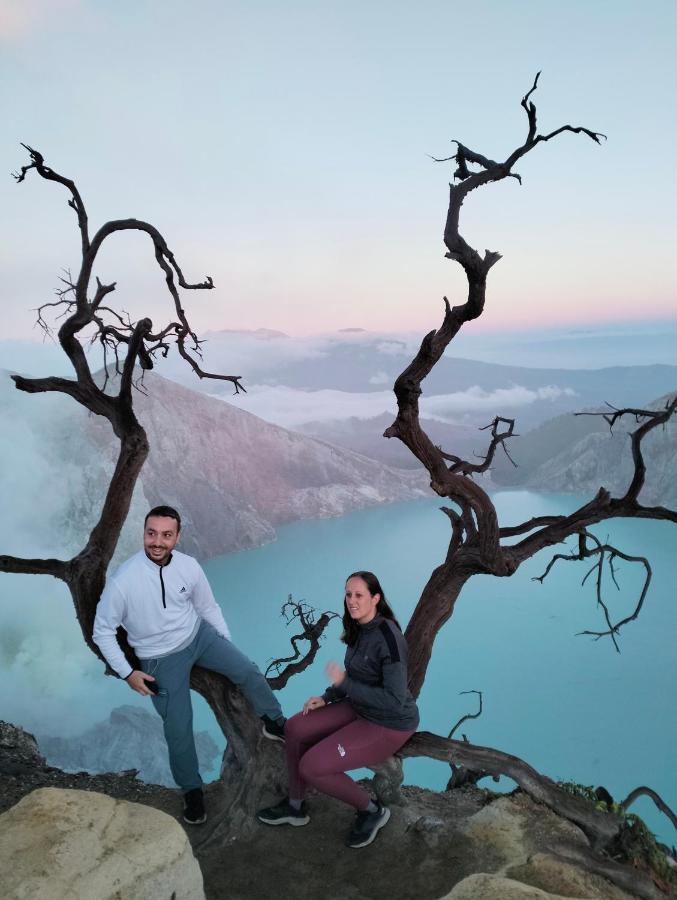 Ijen Transito 2 *